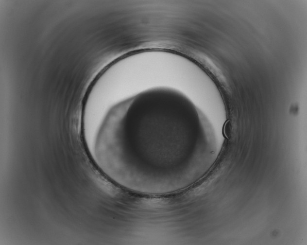 X0000101401276200808041032