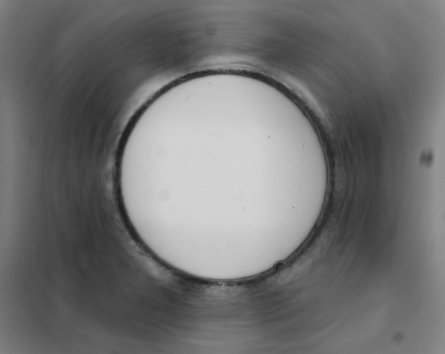 X0000101401277200808041032