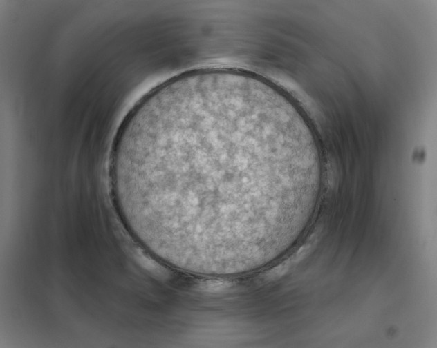 X0000101401278200808041032