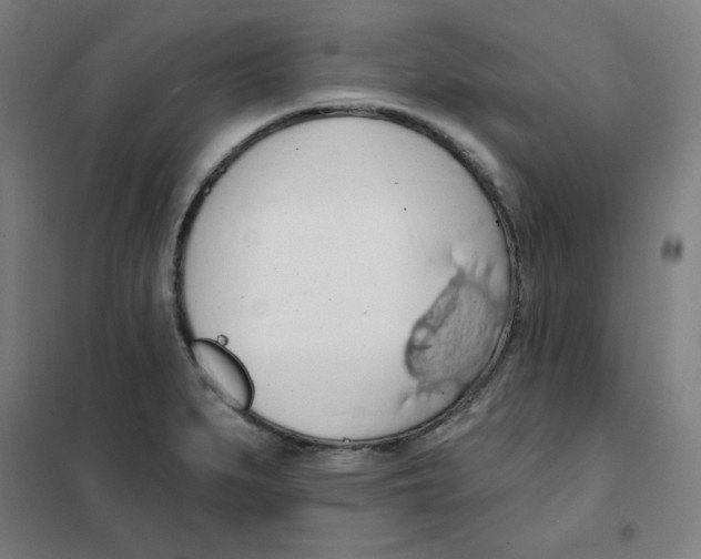 X0000101401279200808041032