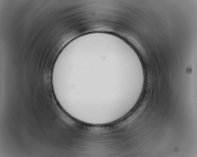 X0000101401281200808041032