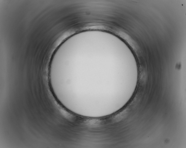 X0000101401282200808041032