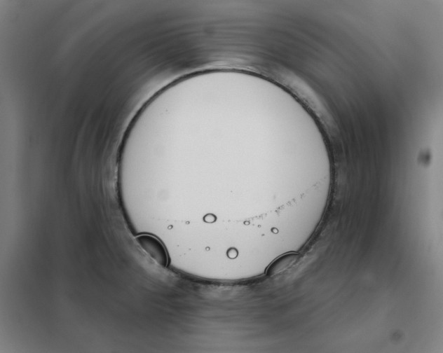 X0000101401284200808041032