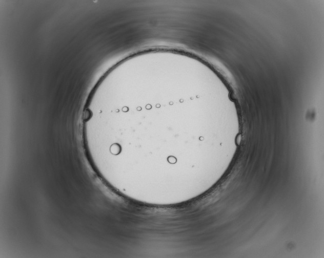 X0000101401287200808041032