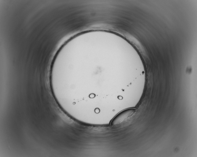 X0000101401288200808041032