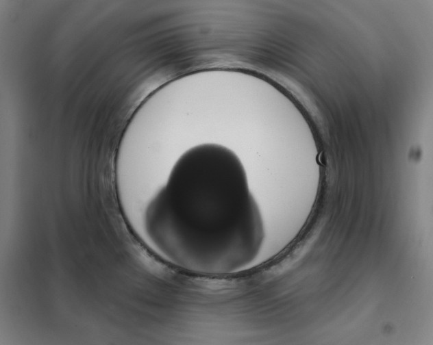 X0000101401289200808041032