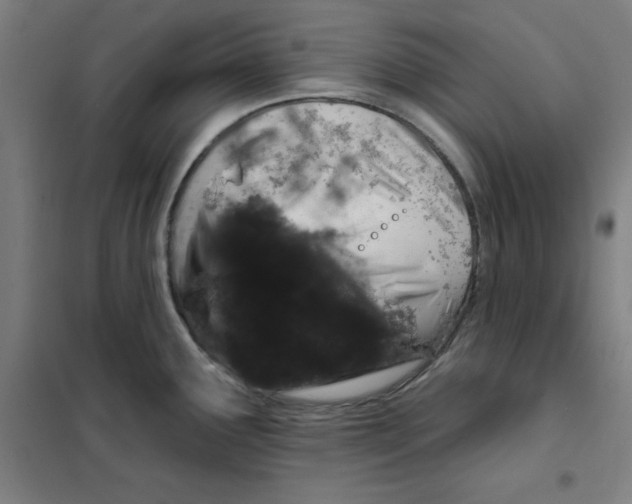 X0000101401291200808041032