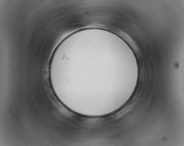 X0000101401292200808041032