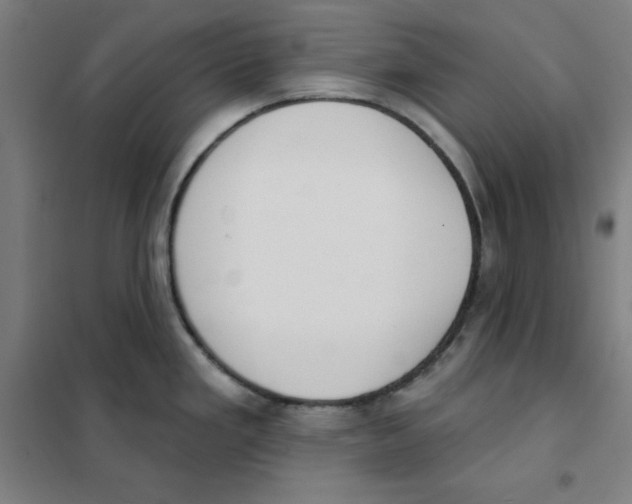 X0000101401293200808041032