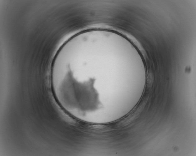 X0000101401295200808041032