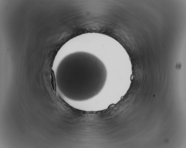 X0000101401297200808041031