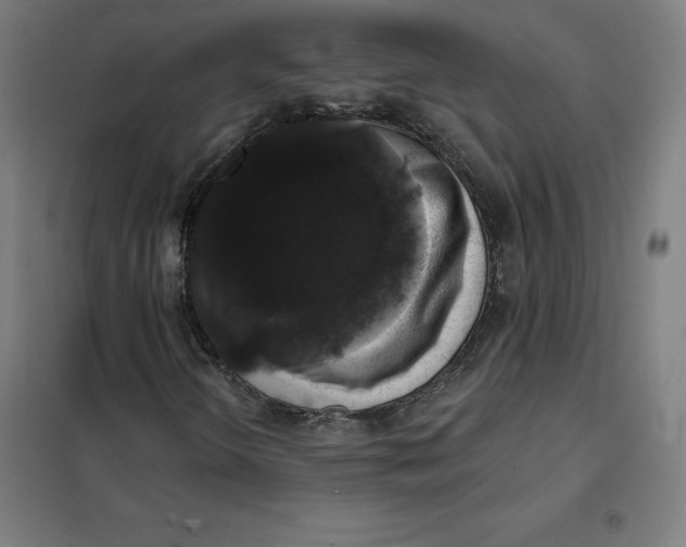 X0000101401298200808041031