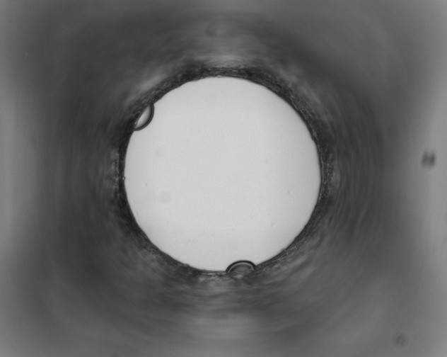 X0000101401301200808041031