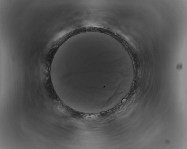 X0000101401303200808041031