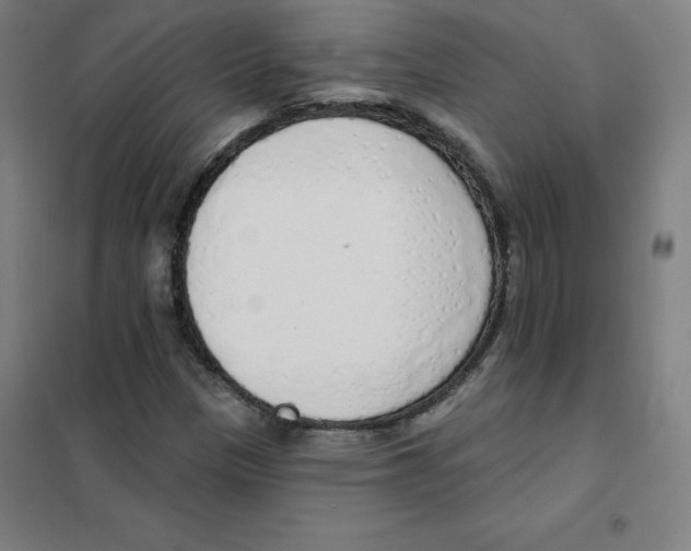 X0000101401305200808041031