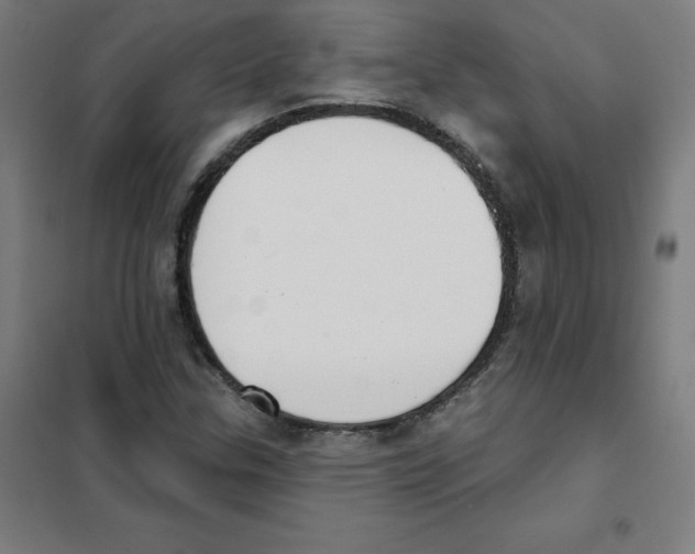 X0000101401307200808041031