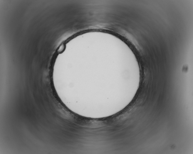 X0000101401308200808041031