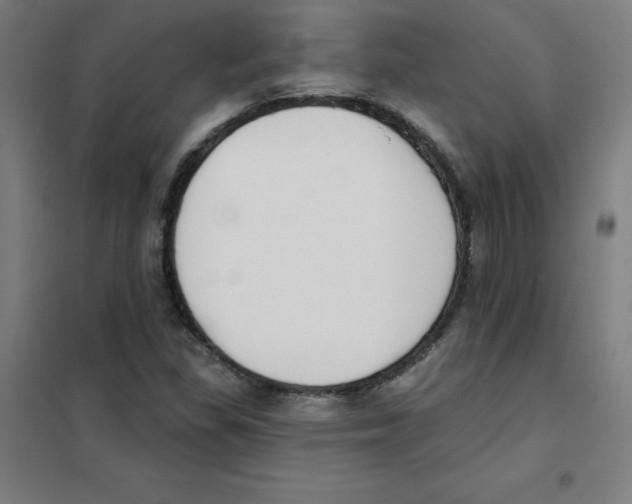 X0000101401309200808041031