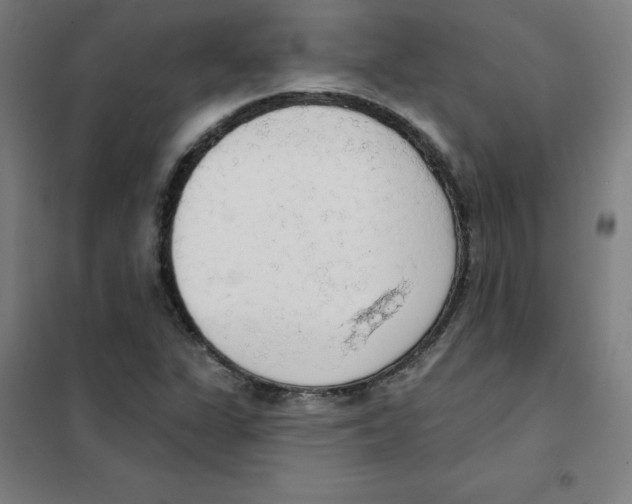 X0000101401311200808041031