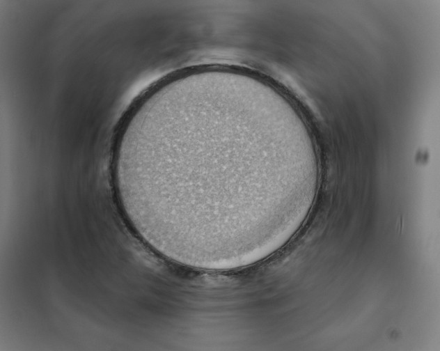 X0000101401312200808041031