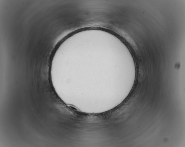 X0000101401316200808041031