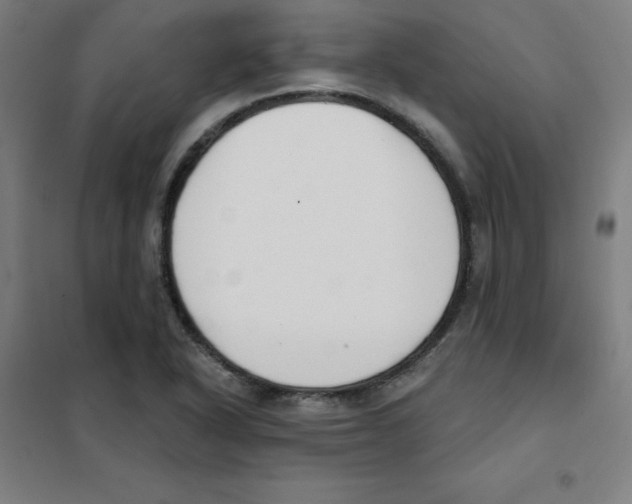 X0000101401318200808041031