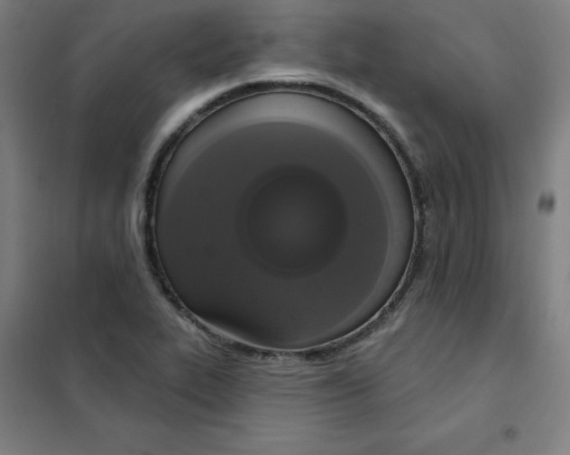 X0000101401319200808041032