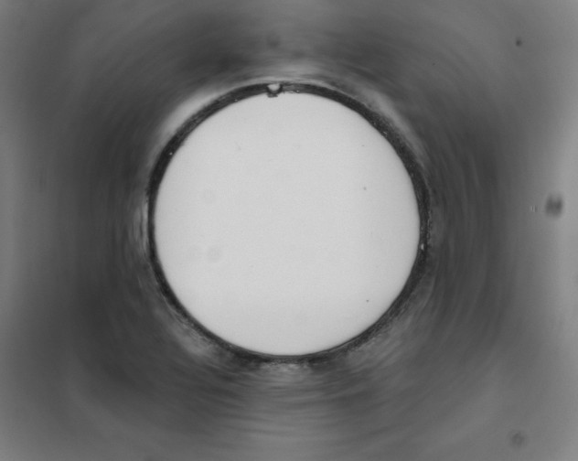 X0000101401320200808041032