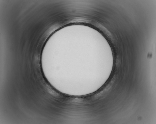 X0000101401321200808041032