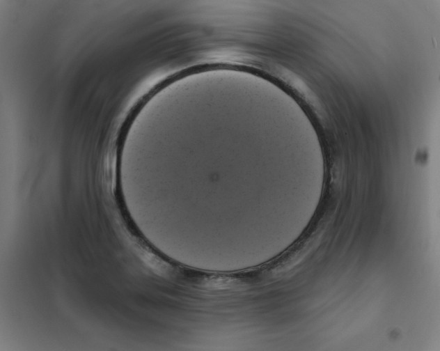 X0000101401323200808041032