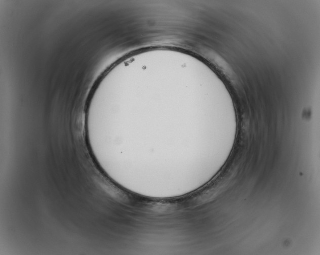 X0000101401324200808041032