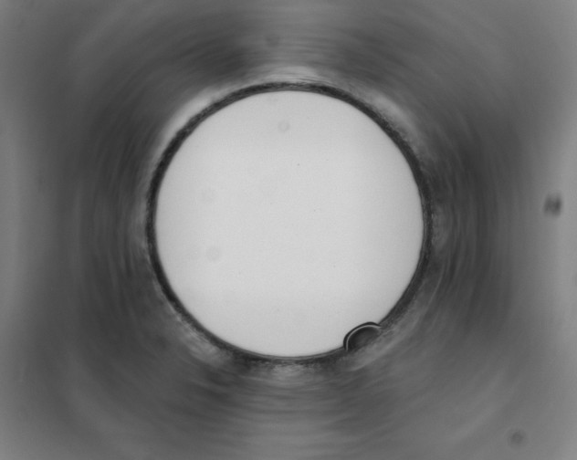 X0000101401326200808041032