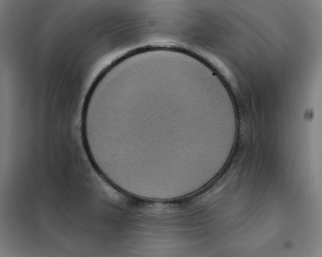 X0000101401327200808041032