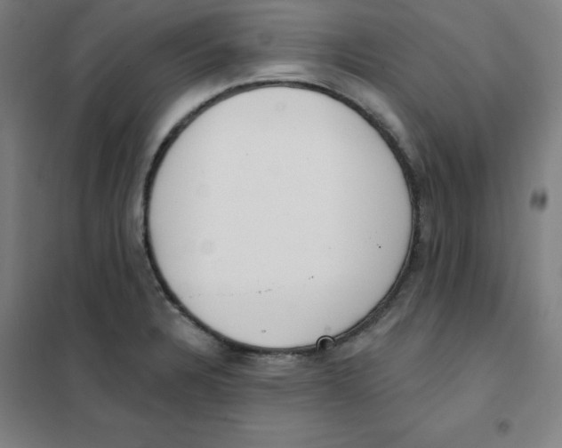 X0000101401328200808041032