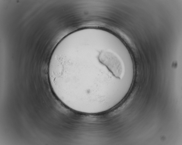 X0000101401329200808041032