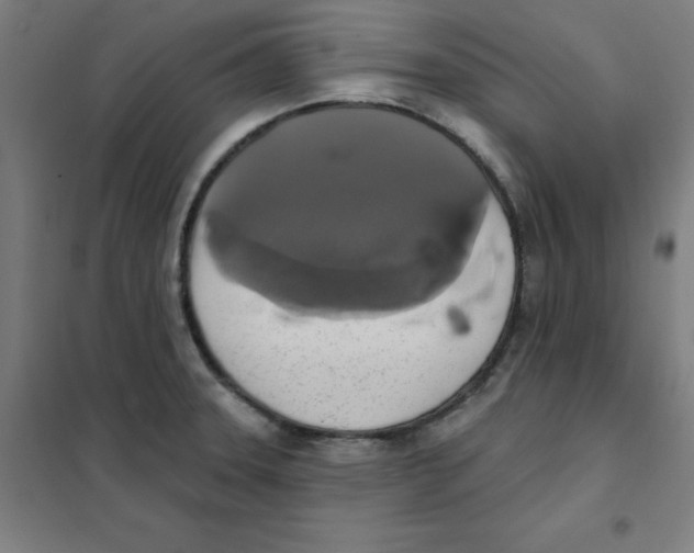 X0000101401331200808041032