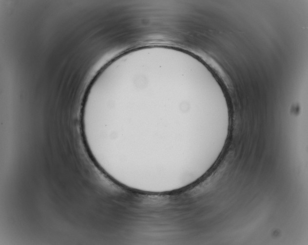 X0000101401333200808041032