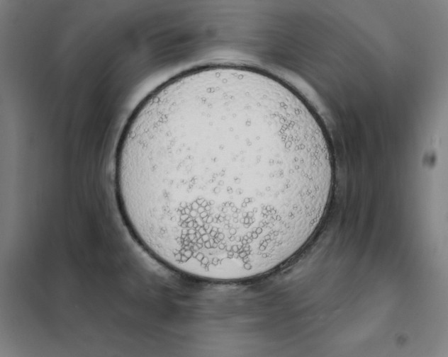 X0000101401335200808041032