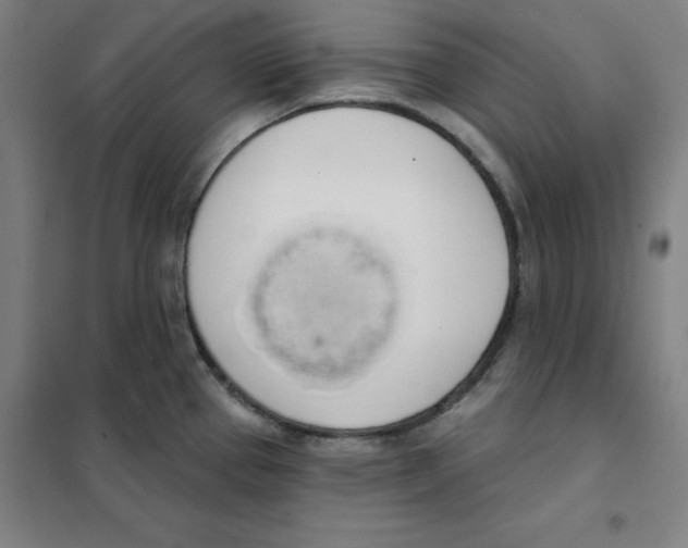 X0000101401337200808041032