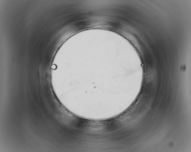 X0000101401338200808041032