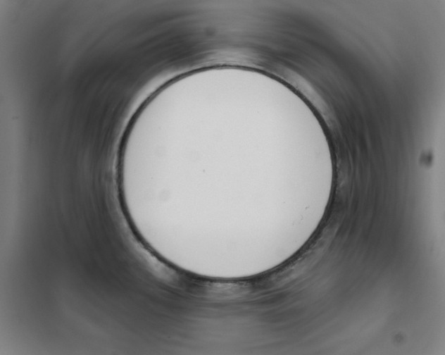 X0000101401339200808041032