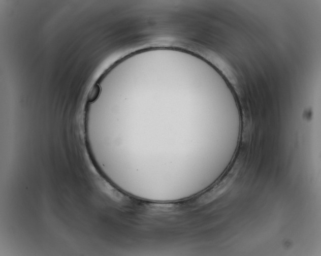 X0000101401342200808041032