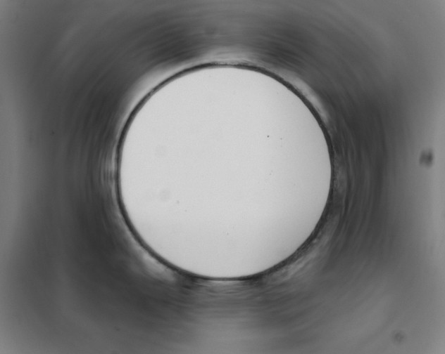 X0000101401343200808041032