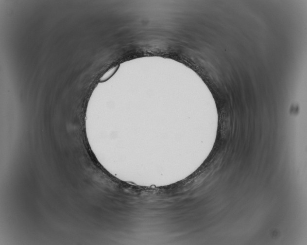 X0000101401345200808041031