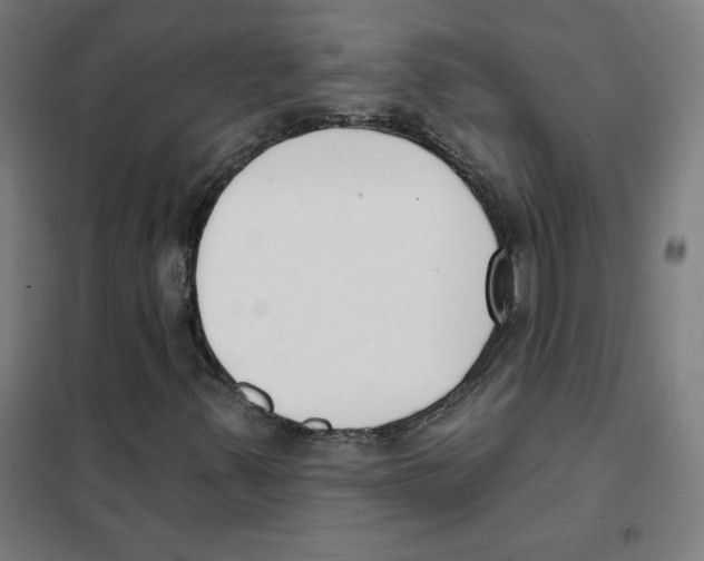 X0000101401347200808041031