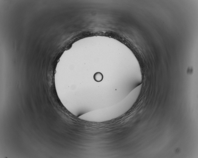 X0000101401348200808041031