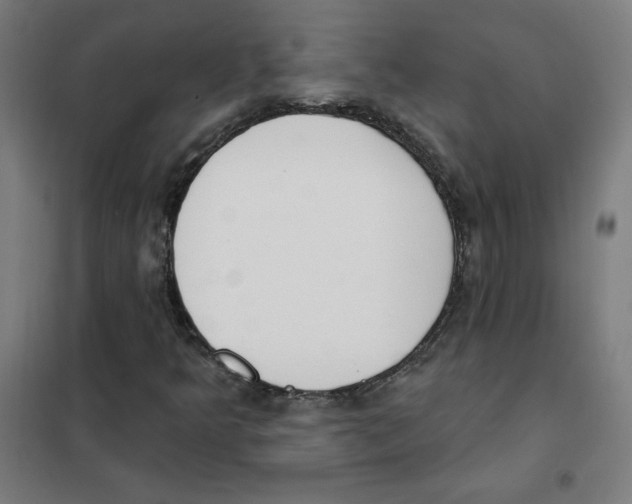 X0000101401349200808041031