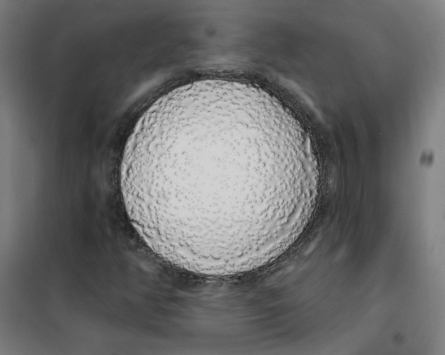 X0000101401350200808041031