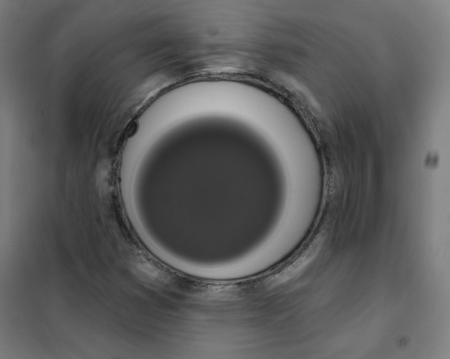 X0000101401353200808041031