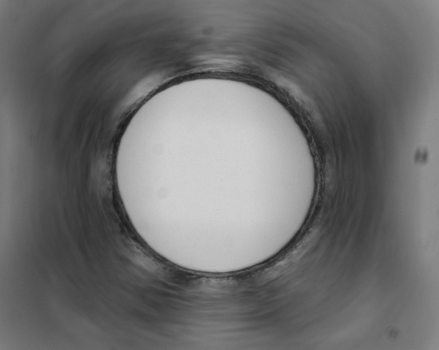 X0000101401354200808041031